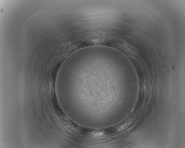 X0000067510651200604101257