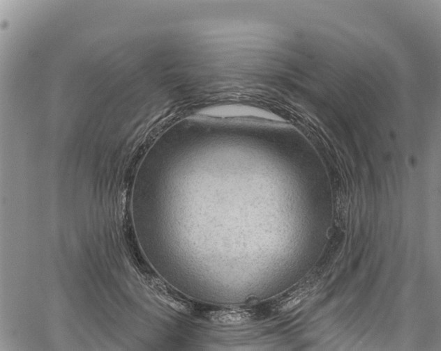 X0000067510652200604101257