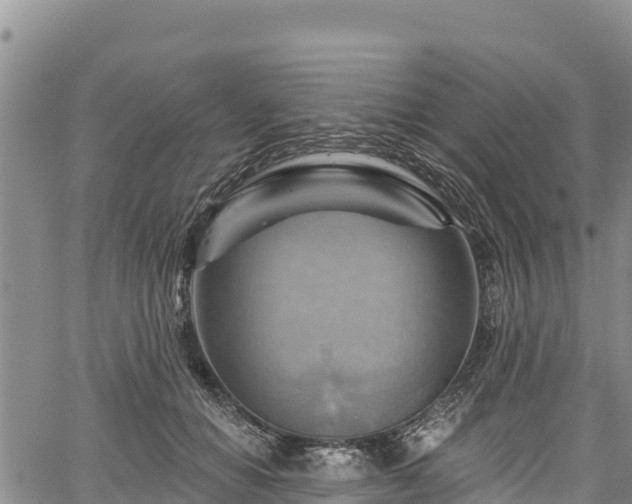 X0000067510654200604101257