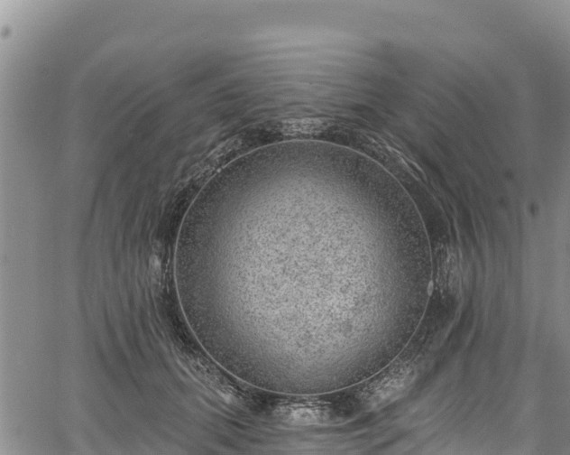 X0000067510655200604101257