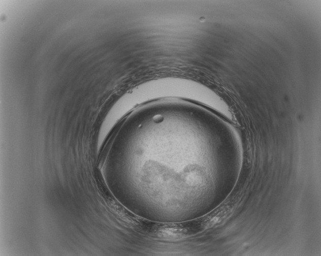 X0000067510657200604101257