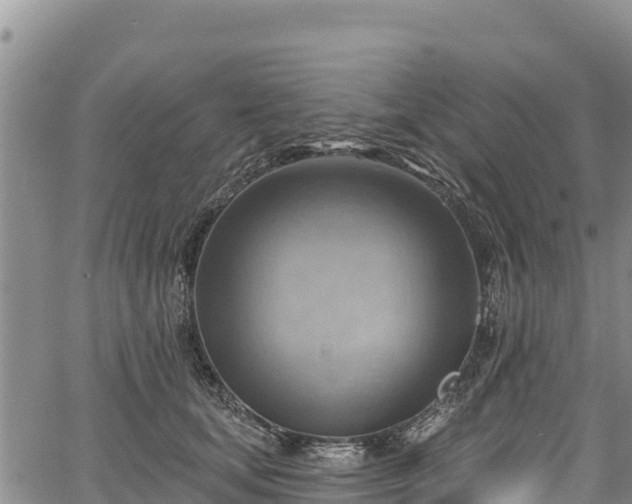 X0000067510659200604101257