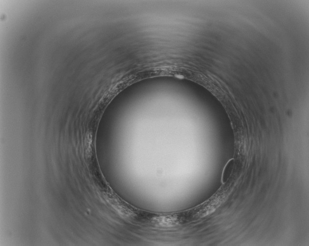 X0000067510660200604101257