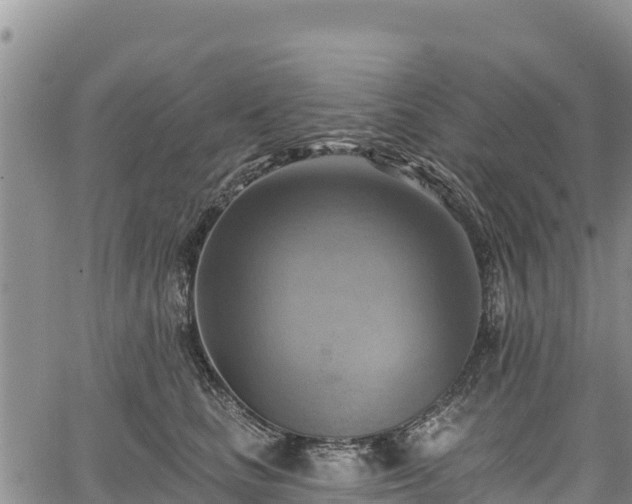 X0000067510661200604101257