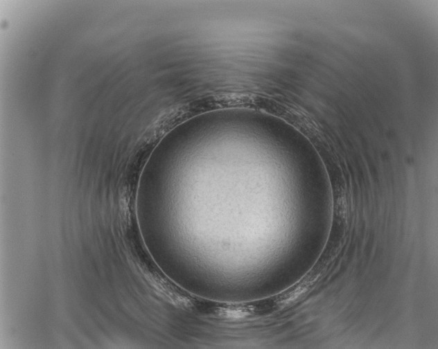 X0000067510662200604101257