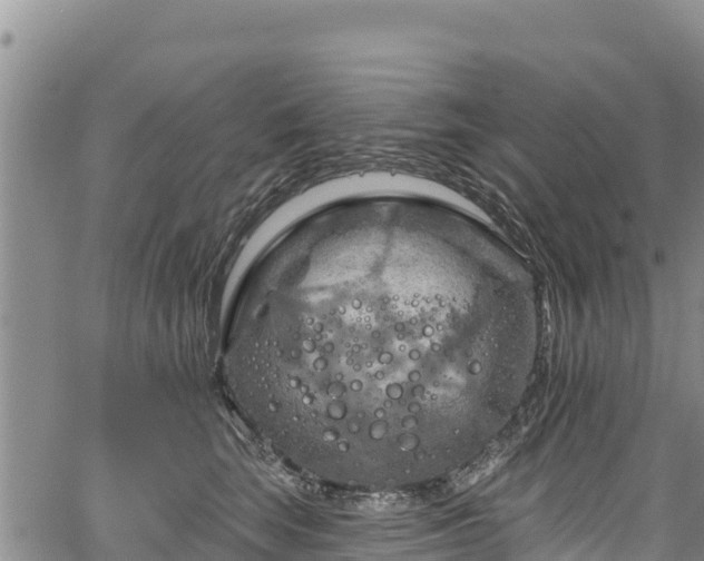 X0000067510663200604101257