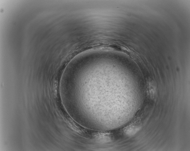 X0000067510664200604101257