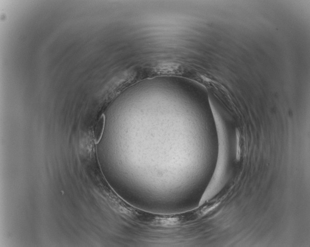 X0000067510665200604101257