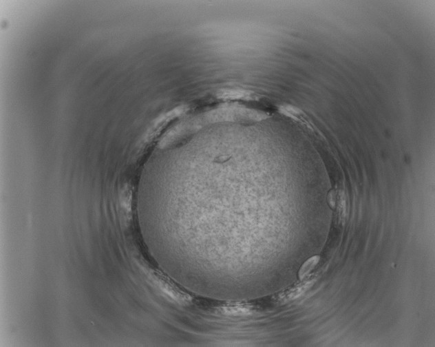 X0000067510668200604101257