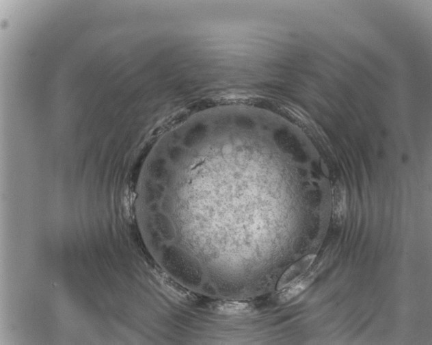 X0000067510669200604101257