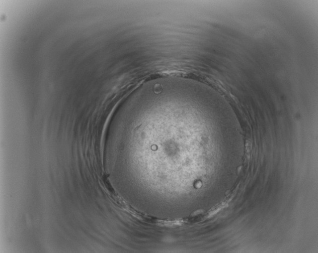 X0000067510671200604101257