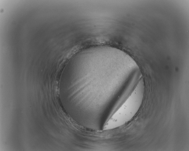 X0000067510672200604101257