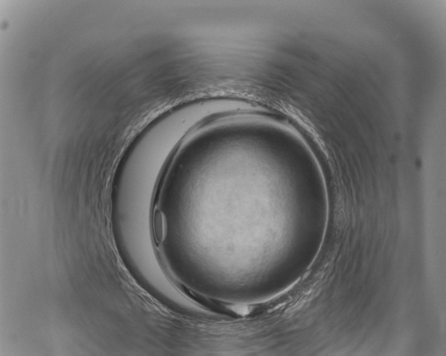 X0000067510673200604101256