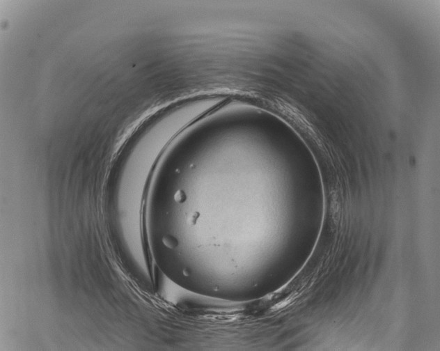 X0000067510676200604101256