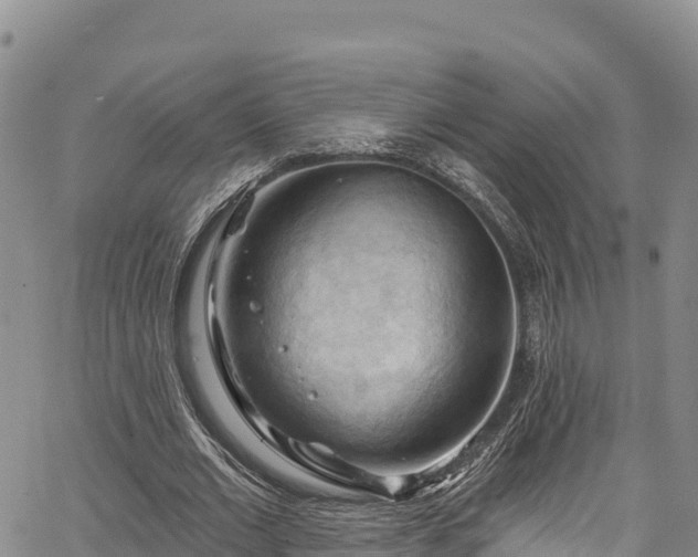 X0000067510677200604101256