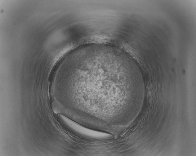 X0000067510679200604101256