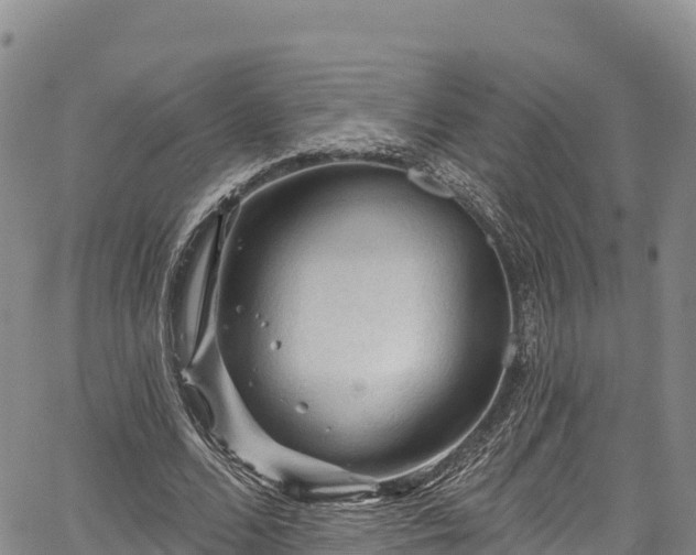 X0000067510680200604101256