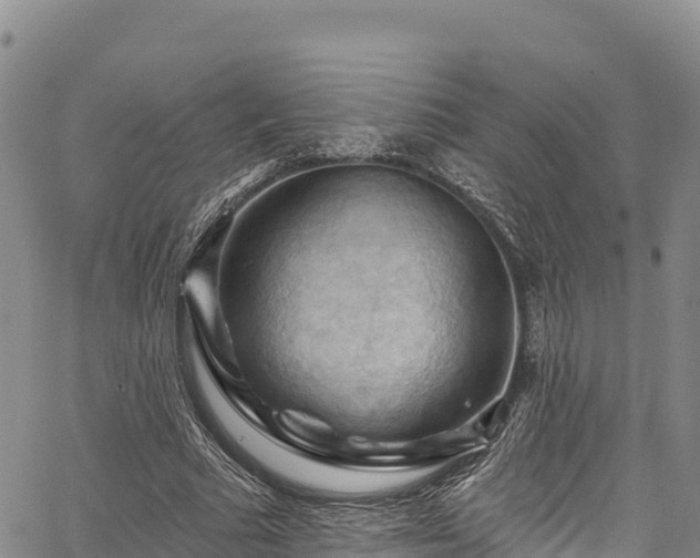 X0000067510681200604101256