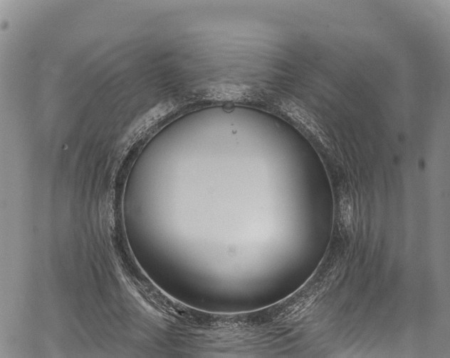 X0000067510682200604101256