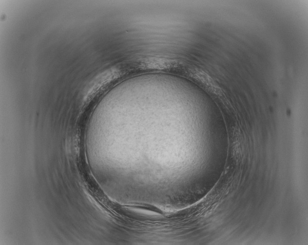 X0000067510683200604101256