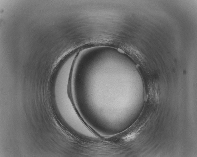 X0000067510684200604101256