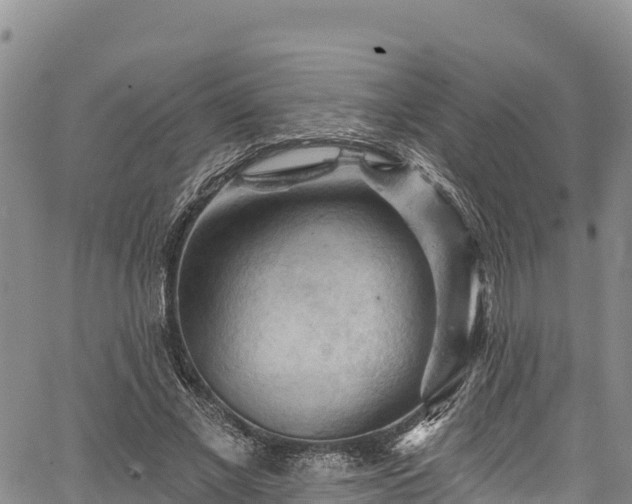 X0000067510685200604101256