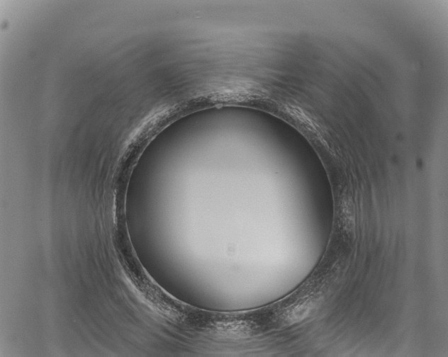 X0000067510686200604101256