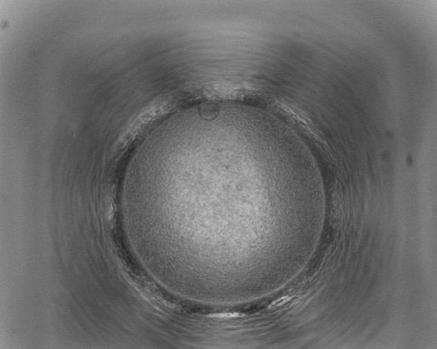 X0000067510687200604101256