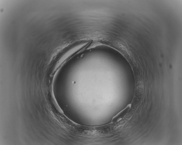 X0000067510688200604101256