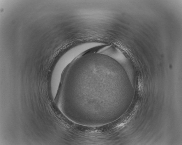 X0000067510689200604101256