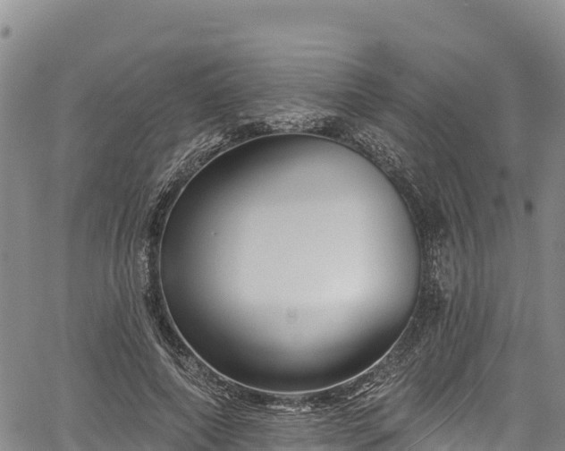 X0000067510690200604101256