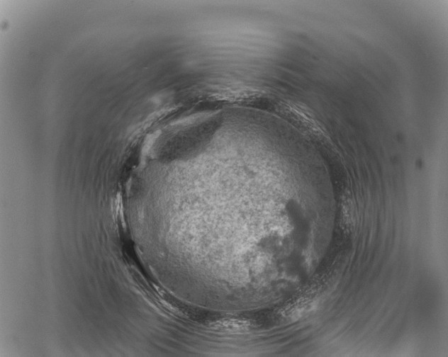 X0000067510691200604101256