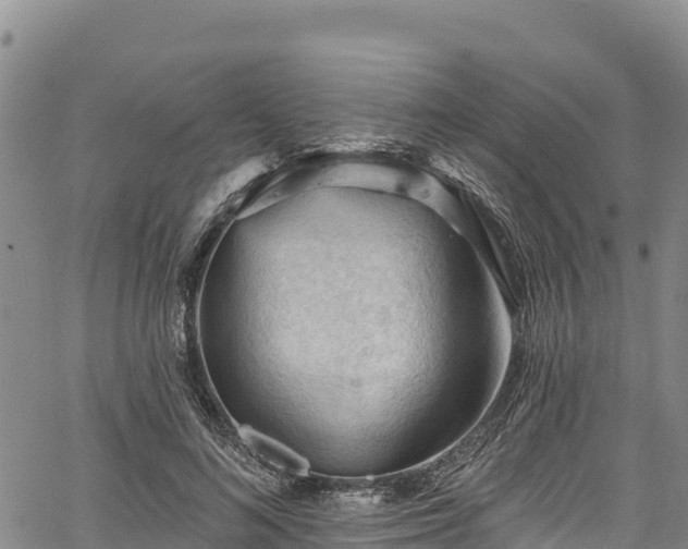 X0000067510692200604101256