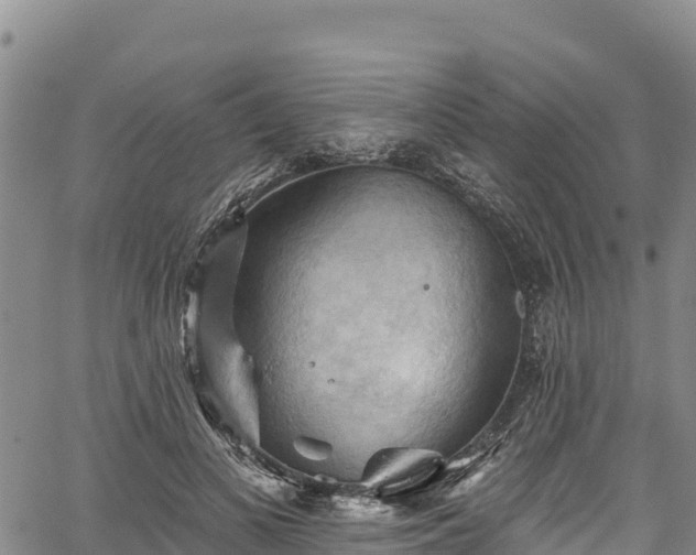 X0000067510693200604101256