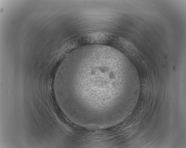 X0000067510695200604101256