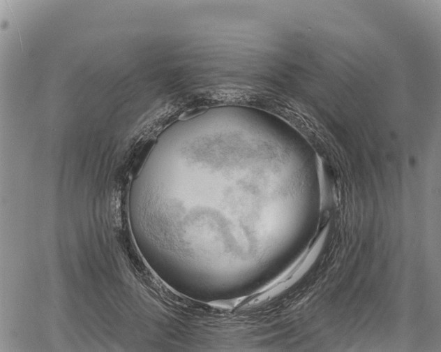 X0000067510696200604101256