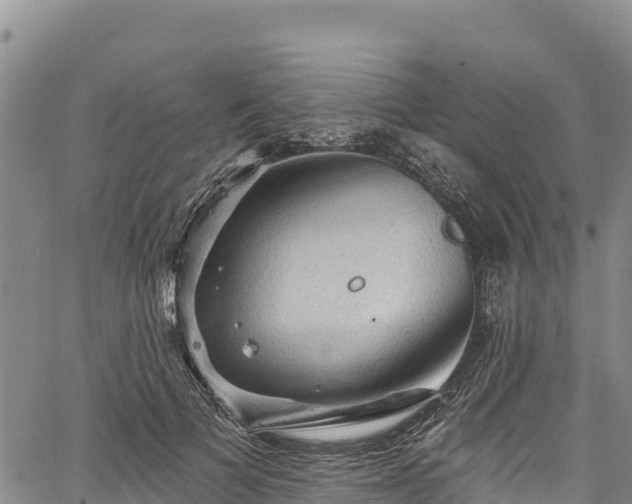 X0000067510697200604101256