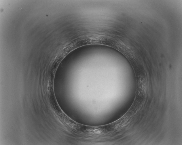 X0000067510698200604101256