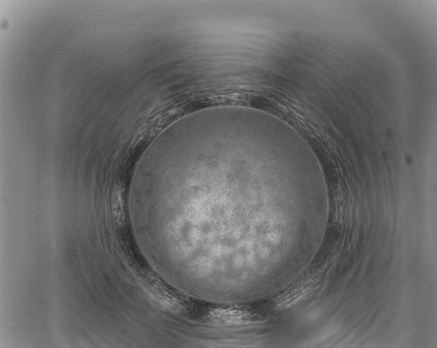 X0000067510699200604101256