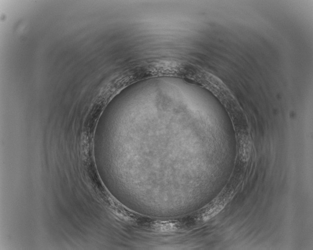 X0000067510701200604101256