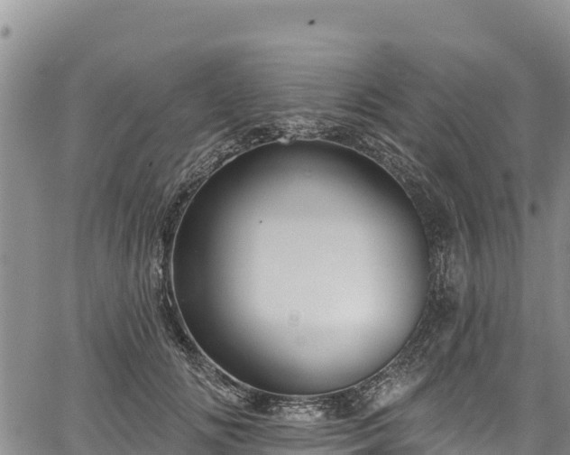 X0000067510702200604101256