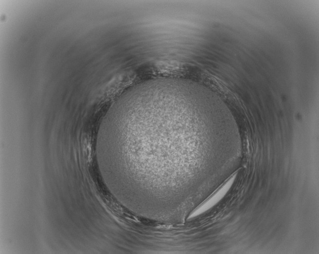 X0000067510703200604101256