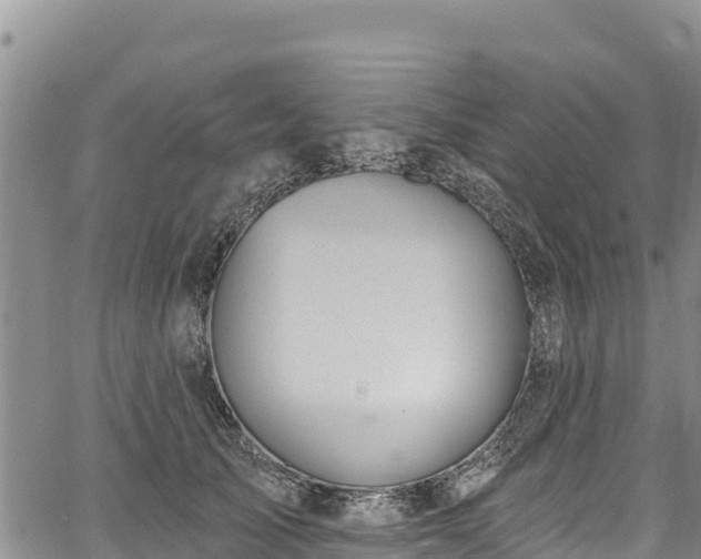 X0000067510705200604101256