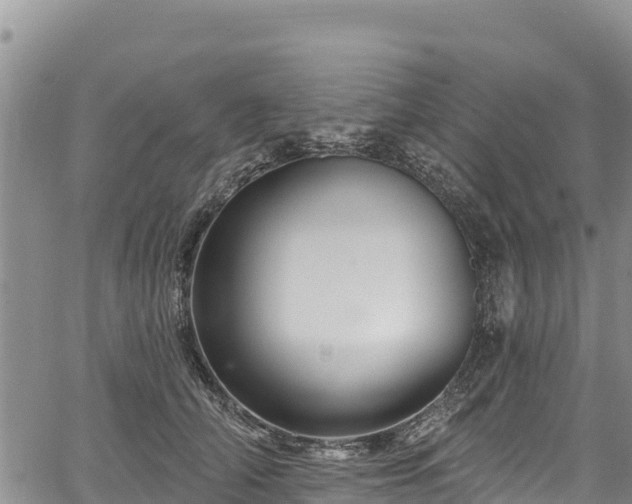 X0000067510706200604101256