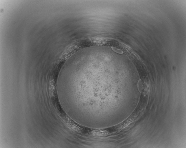 X0000067510707200604101256