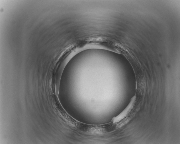 X0000067510708200604101256