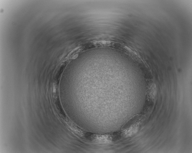 X0000067510709200604101256