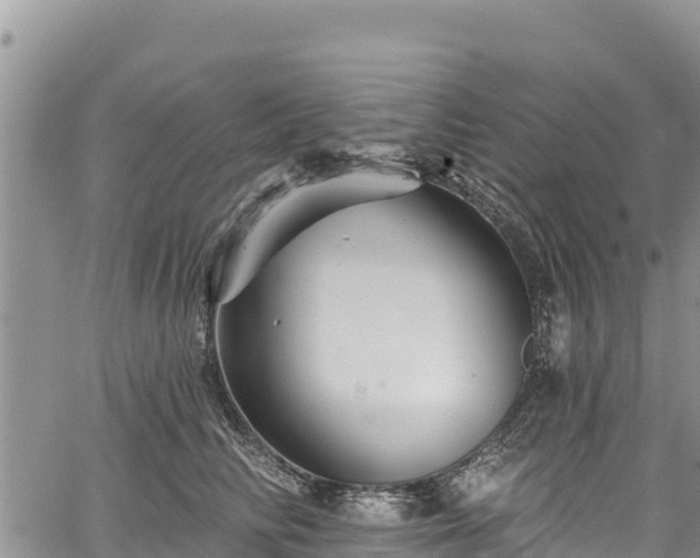 X0000067510710200604101256