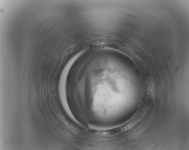 X0000067510711200604101256