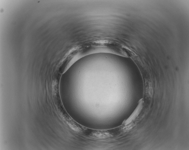 X0000067510712200604101256